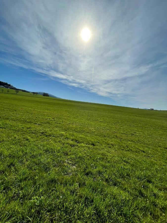 Villa Hundefreundliche Im Muehlviertel In Oberoesterreich